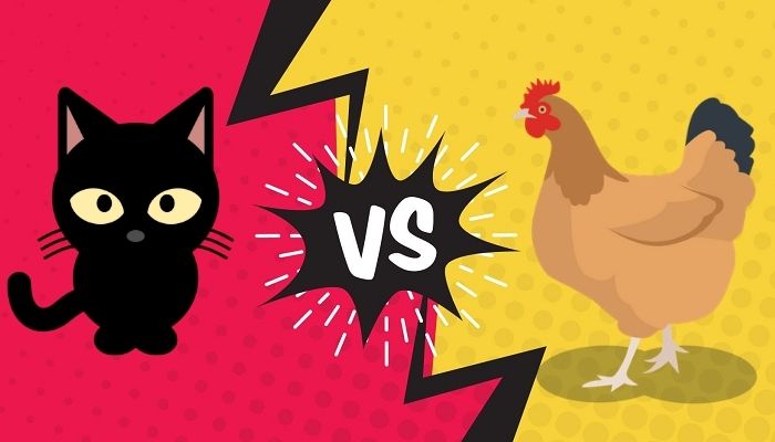 Do cats eat chickens?