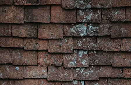 wall with crow poop