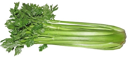 celery