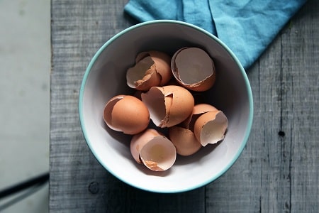 eggshells