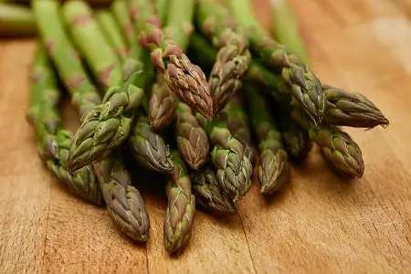 can birds eat raw asparagus? 