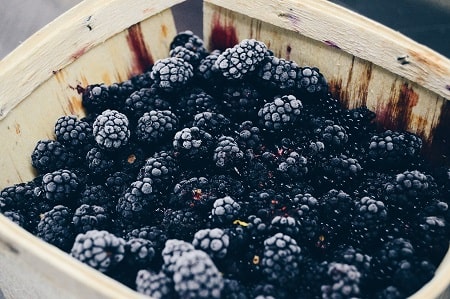 blackberries