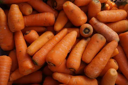 carrots