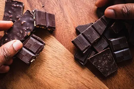 Can Cockatiels Eat Chocolate? (+Other Toxic Foods) - AnimalFate