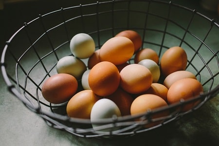 eggs