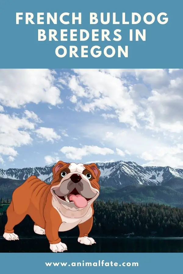 french bulldog breeders in oregon