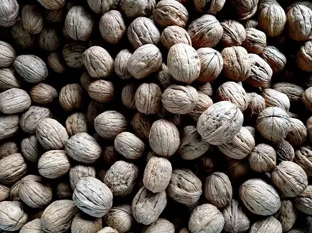 walnuts