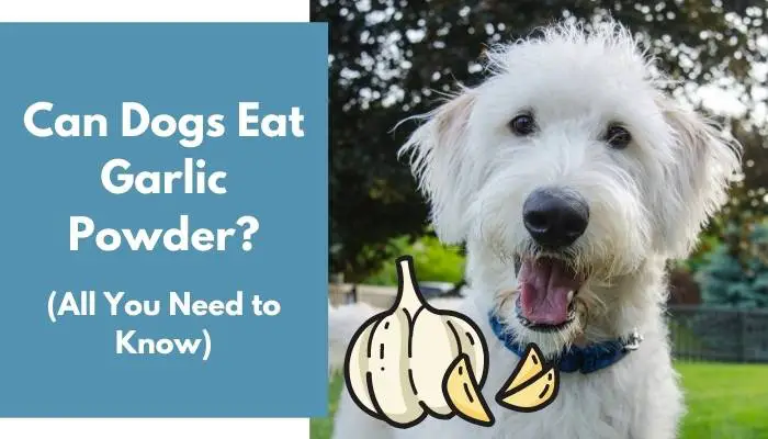 Can Dogs Eat Garlic Powder