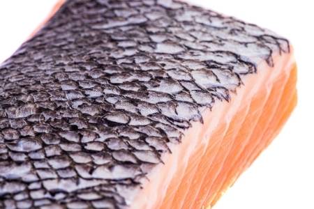 salmon skin