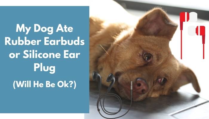 My Dog Ate Rubber Earbuds or Silicone Ear Plug