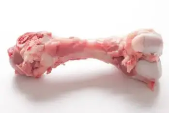 My Dog Ate A Pork Bone Will He Be Ok Important Facts Animalfate