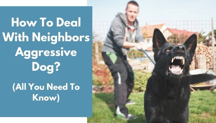 How To Deal With Neighbors Aggressive Dog