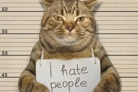 cats and bad people