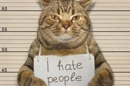 cats and bad people