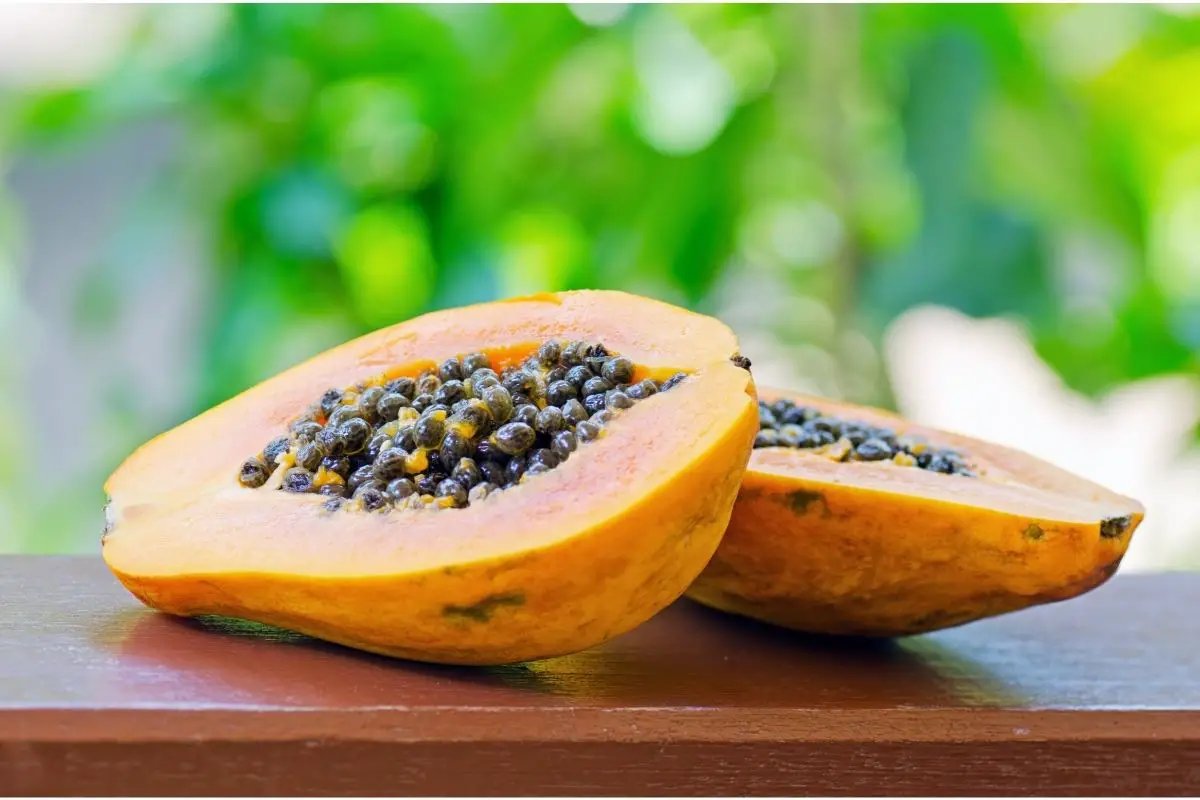 Consuming Fresh Papaya