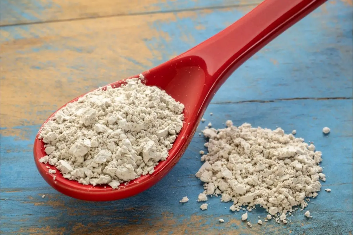 Diatomaceous Earth For Food